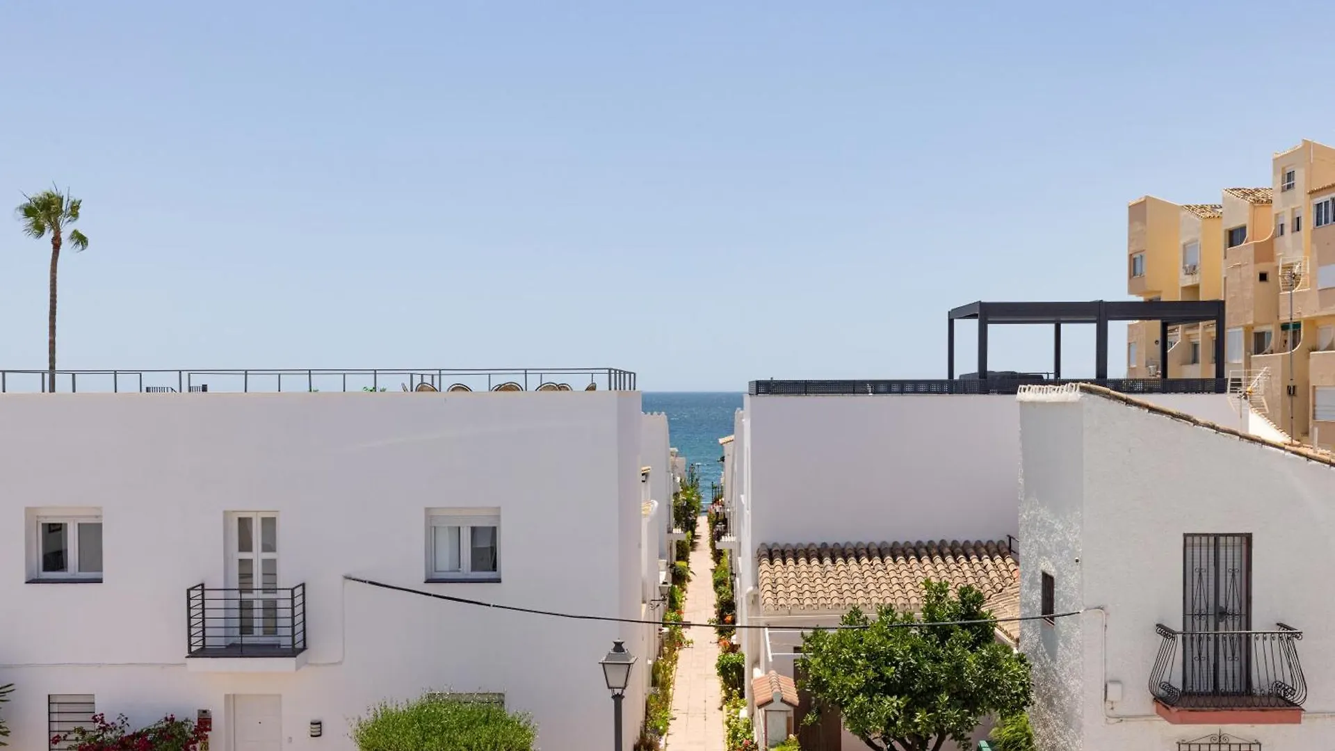 Palm Suites Estepona Spain